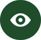 Visión